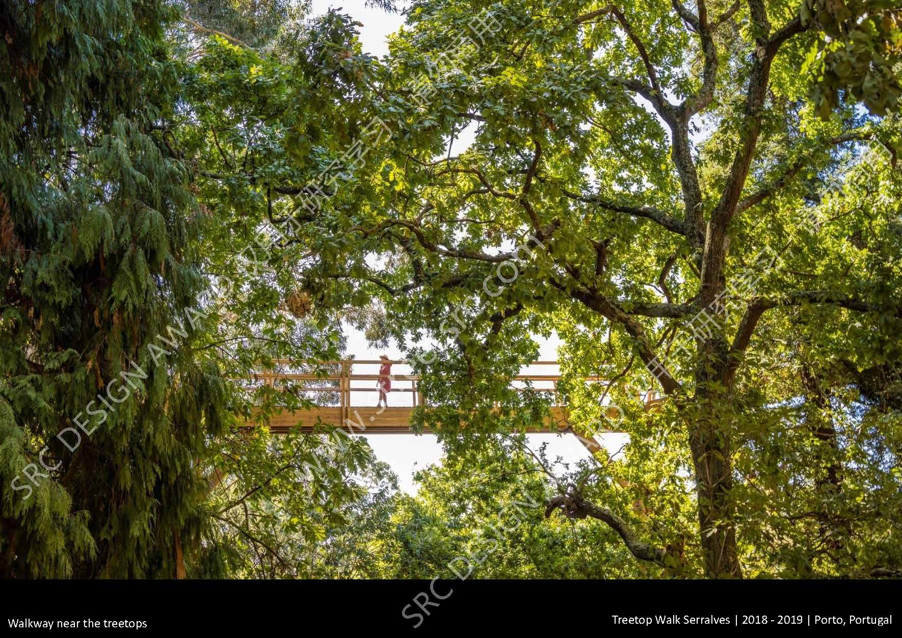 A3_Treetop Walk（新）_页面_09.jpg