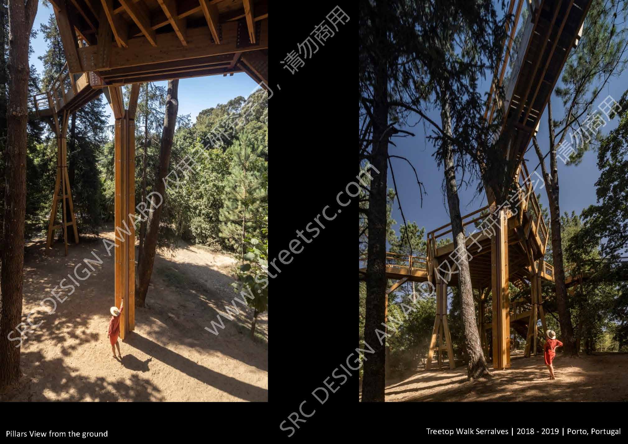 A3_Treetop Walk（新）_页面_10.jpg